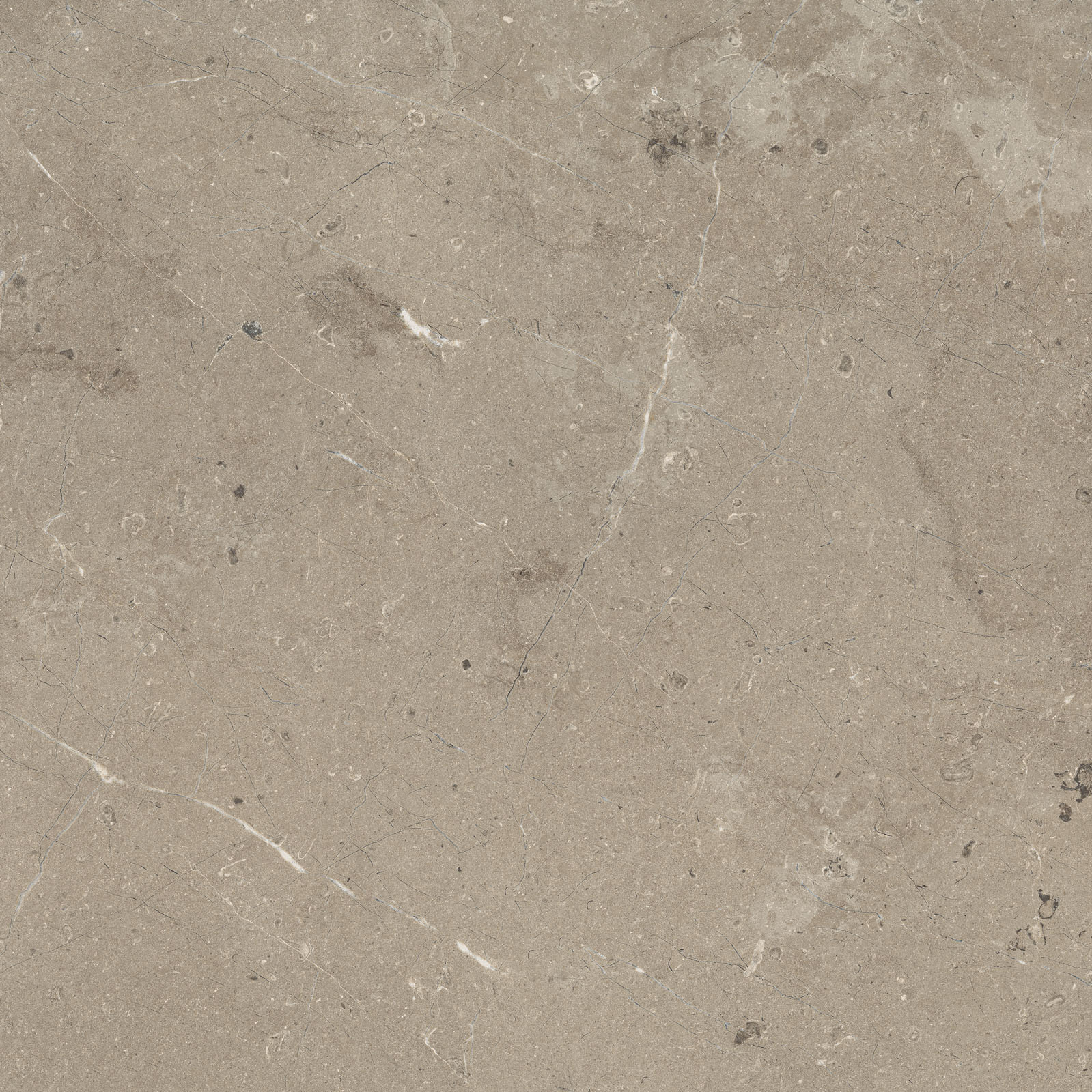 Marazzi Limestone Bodenfliese Taupe 75x75cm
